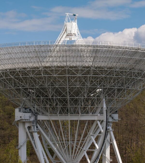 pexels-pixabay-256102 pexels-pixabay-256102